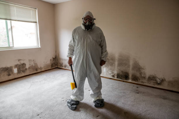 Best Residential Mold Removal  in Rio Grande, NJ